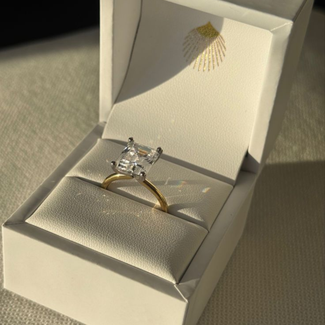 Beach proposals 2