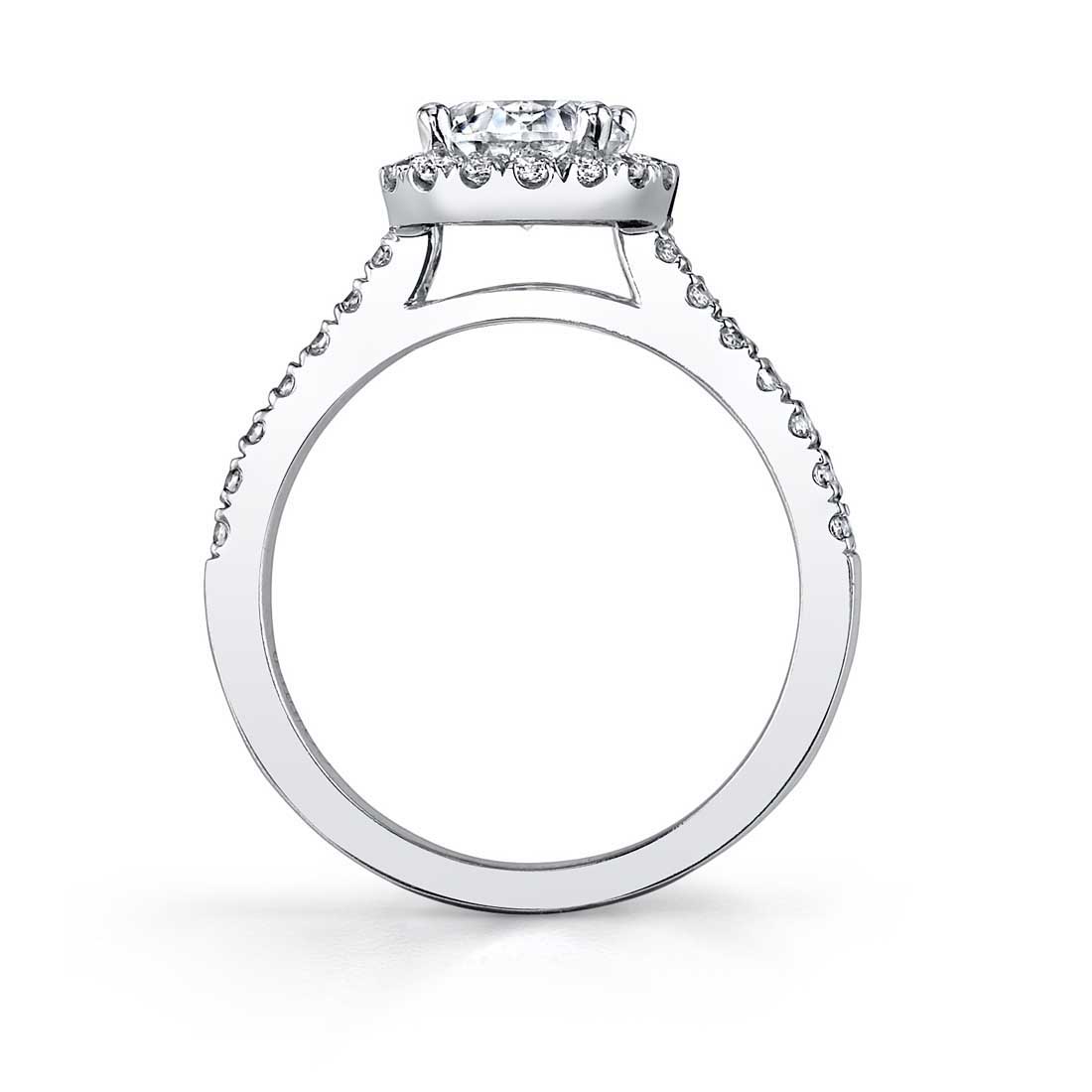 Profile of a Halo Engagement Ring in White Gold