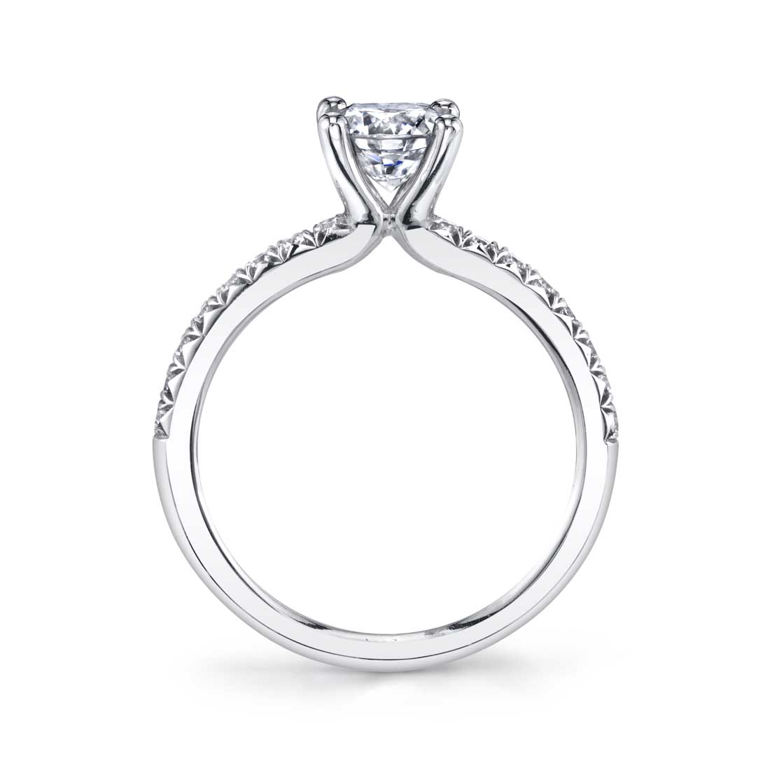Profile Image of a Classic Engagement Ring