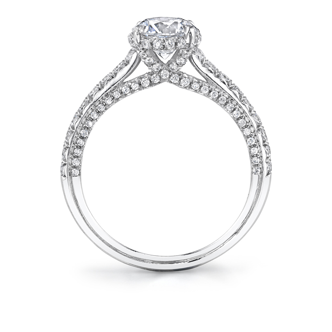 Side Profile of Hidden Halo Engagement Ring with Diamo - Layla Ring