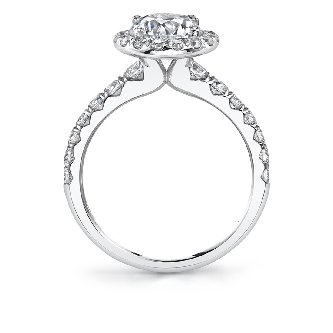 Profile Image of a Halo Round Engagement Ring in white gold 