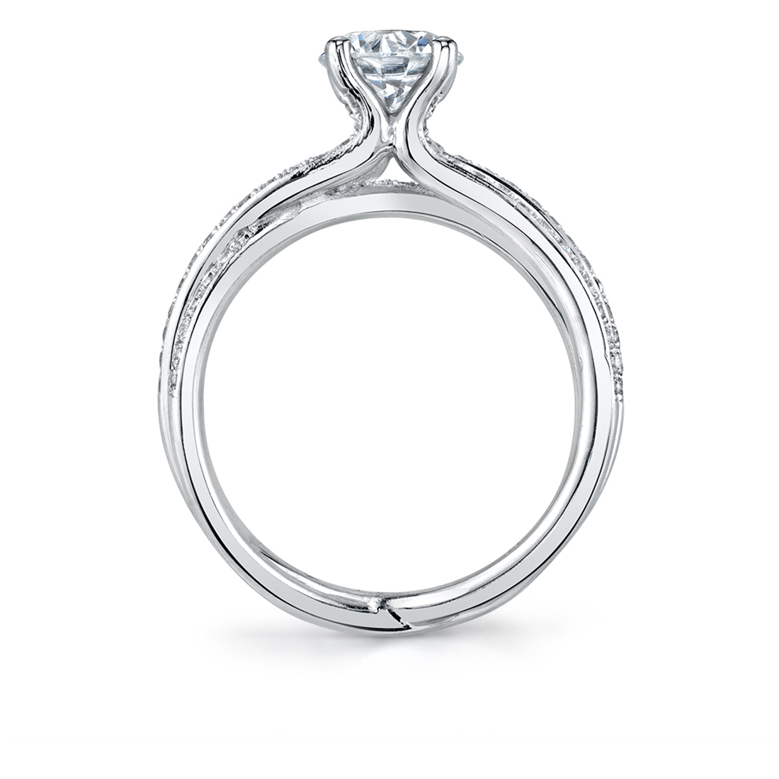 Profile Image of a Split Band Engagement Ring - Aleese