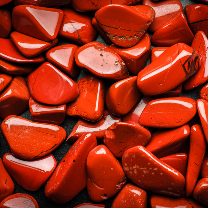 Febary Rocks February Birthstones - Sylvie Jewelry
