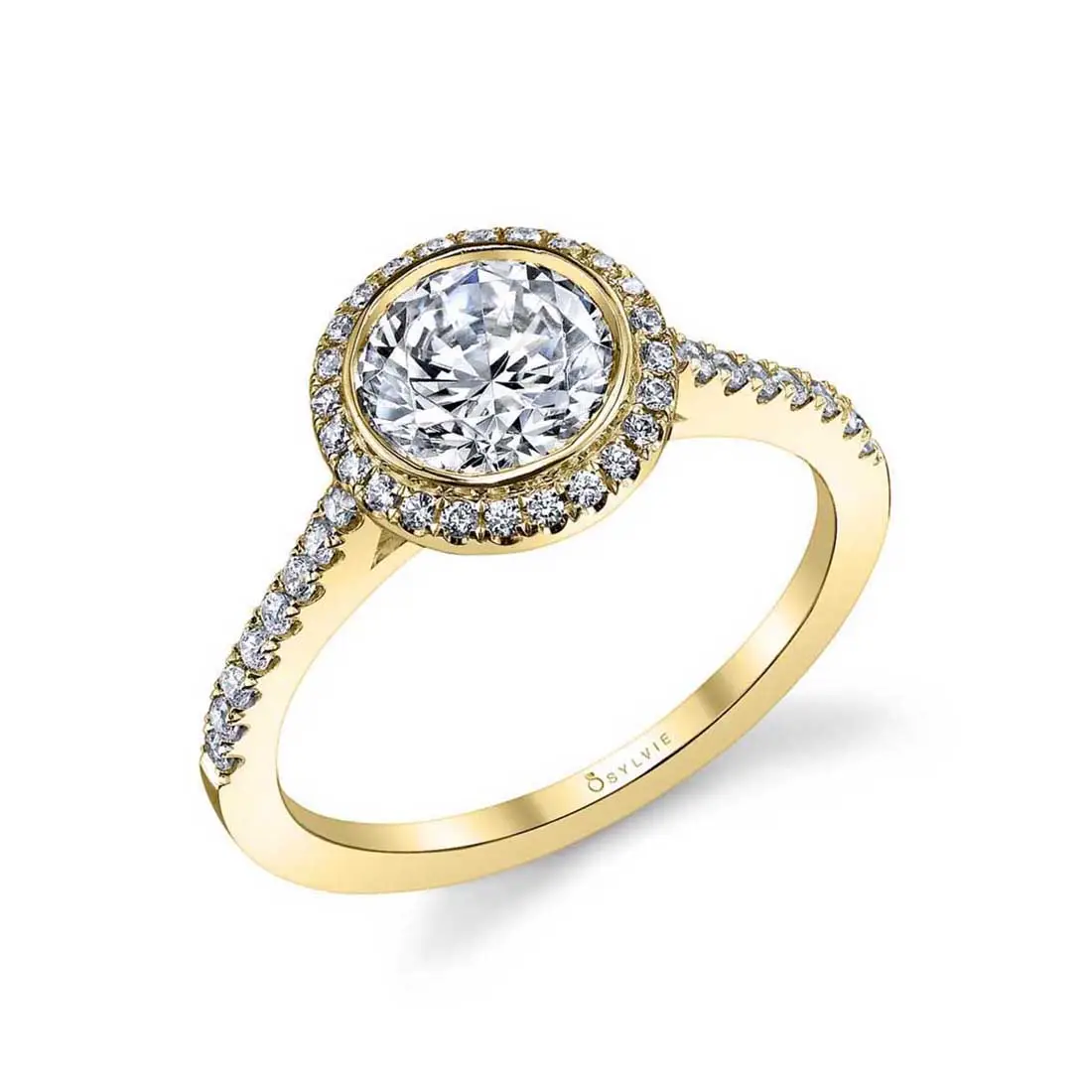 White Gold Round Cut Modern Bezel Halo Engagement Ring - Anita - Profile View