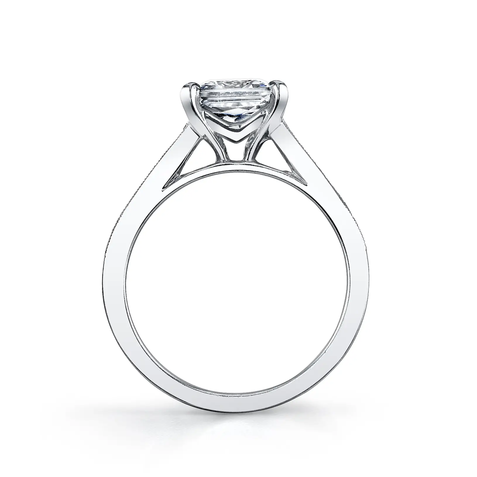 White Gold Modern Baguette Engagement Ring - Colletta - Profile View