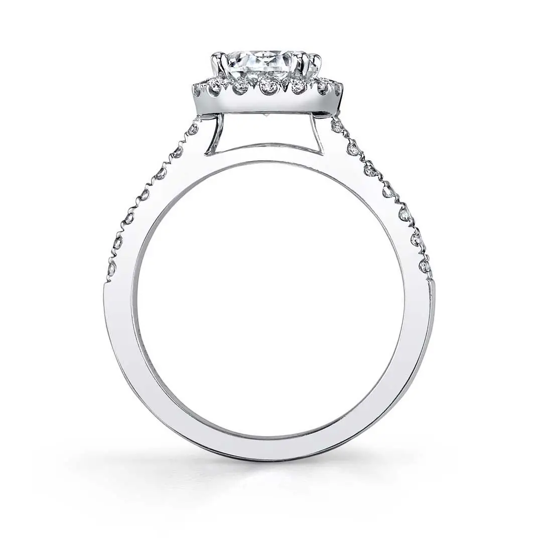 Profile of a Halo Engagement Ring in White Gold
