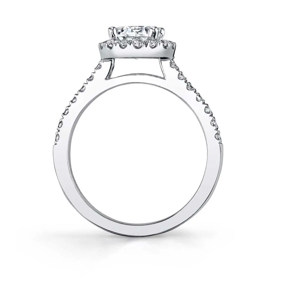 White Gold Emerald Cut Classic Two Tone Halo Engagement Ring - Chantelle - Profile View