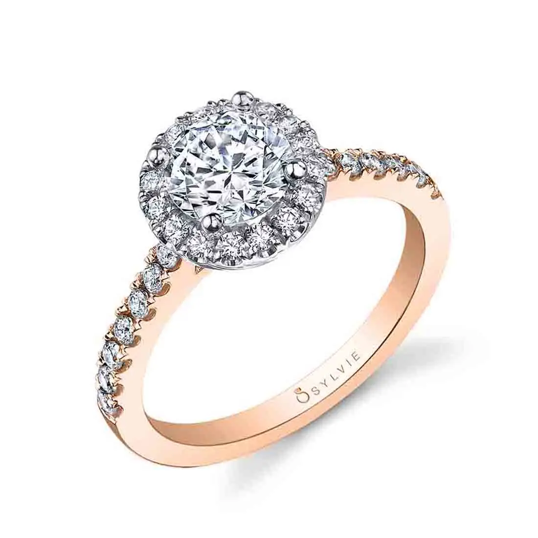 White Gold Round Cut Classic Two Tone Halo Engagement Ring - Chantelle - Profile View