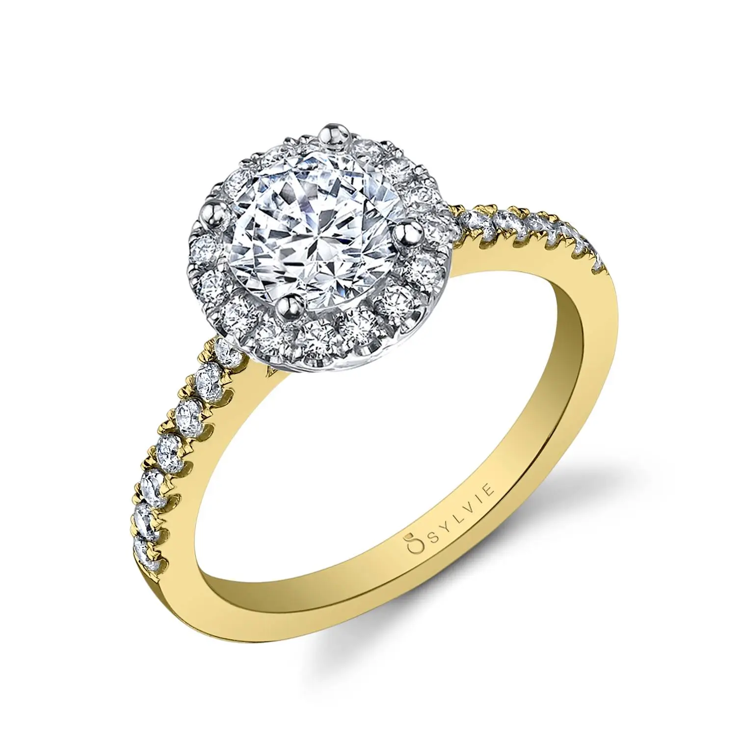 White Gold Round Cut Classic Two Tone Halo Engagement Ring - Chantelle - Profile View