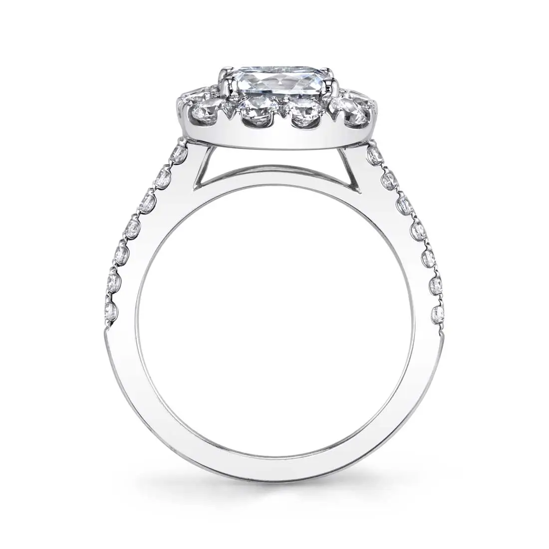 Cushion Cut Engagement Ring with Halo