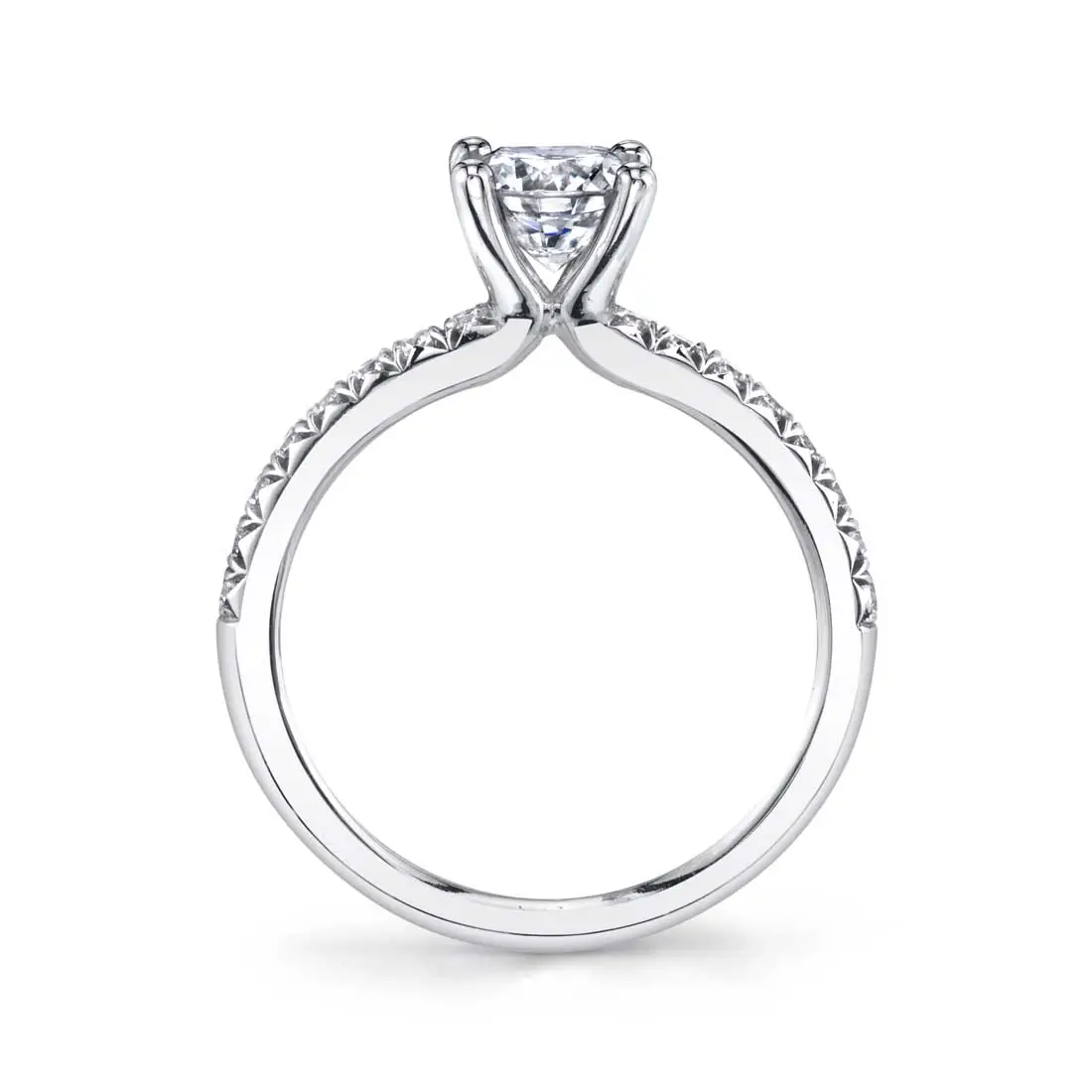 Profile Image of a Classic Engagement Ring