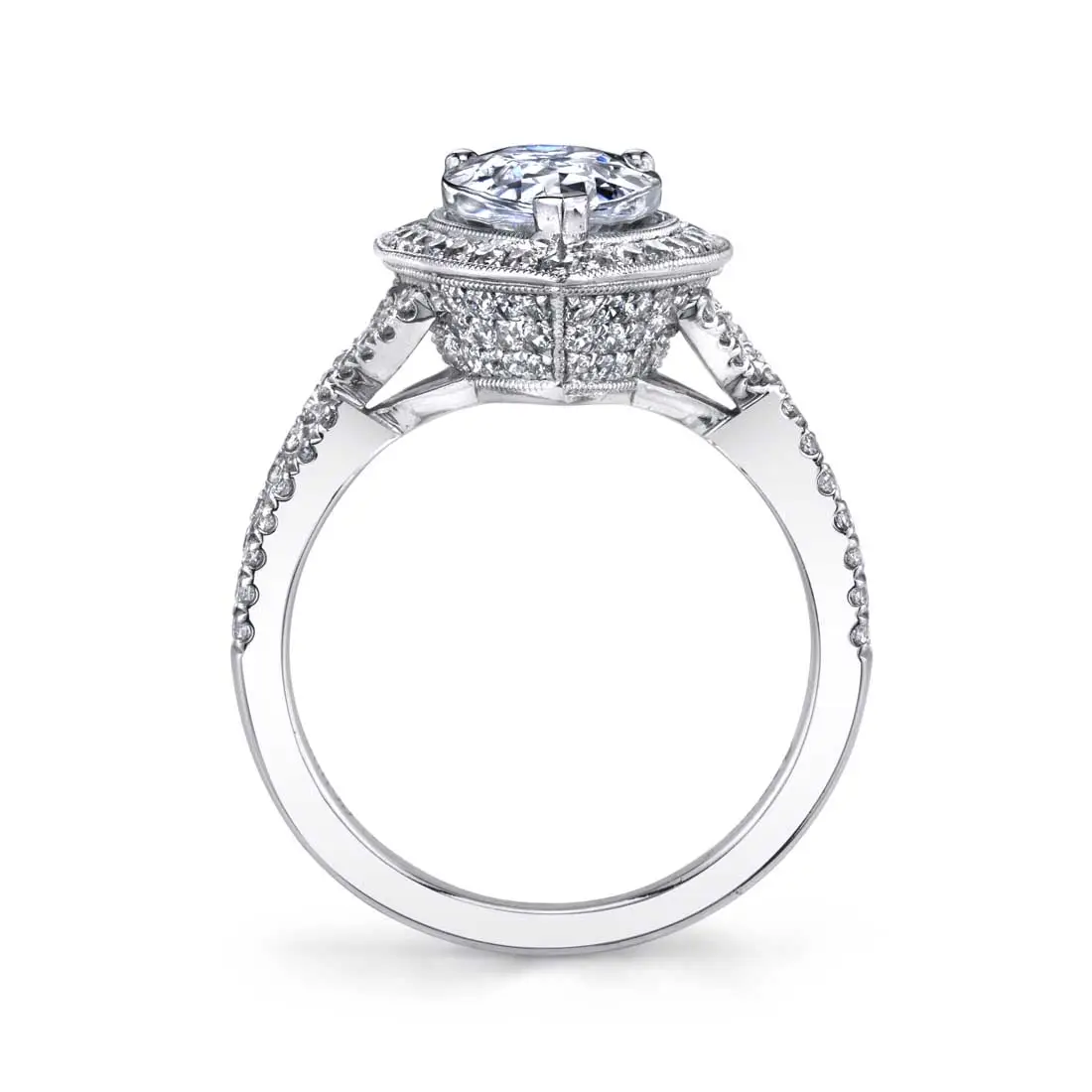White Gold Pear Shaped Engagement Ring with Halo - Alyssa - Profile View