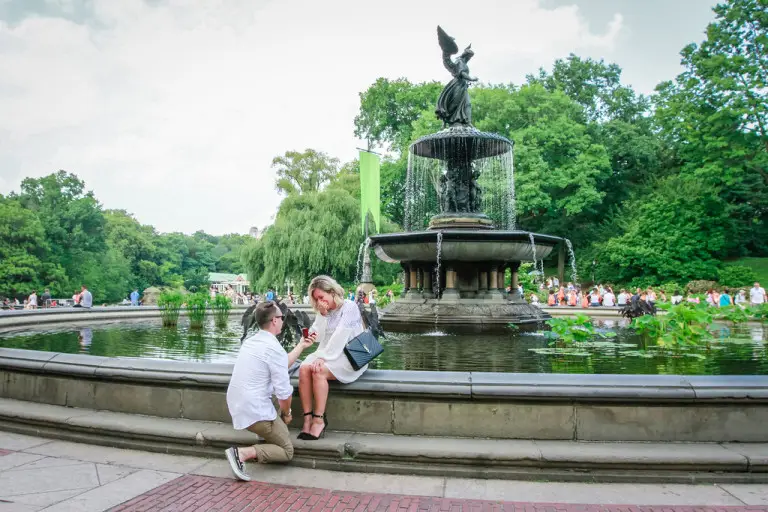 central park proposal