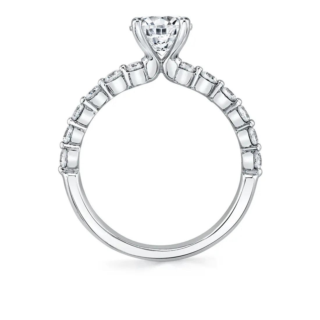 Profile Image of a Delicate Engagement Ring in White Gold - Ivanna