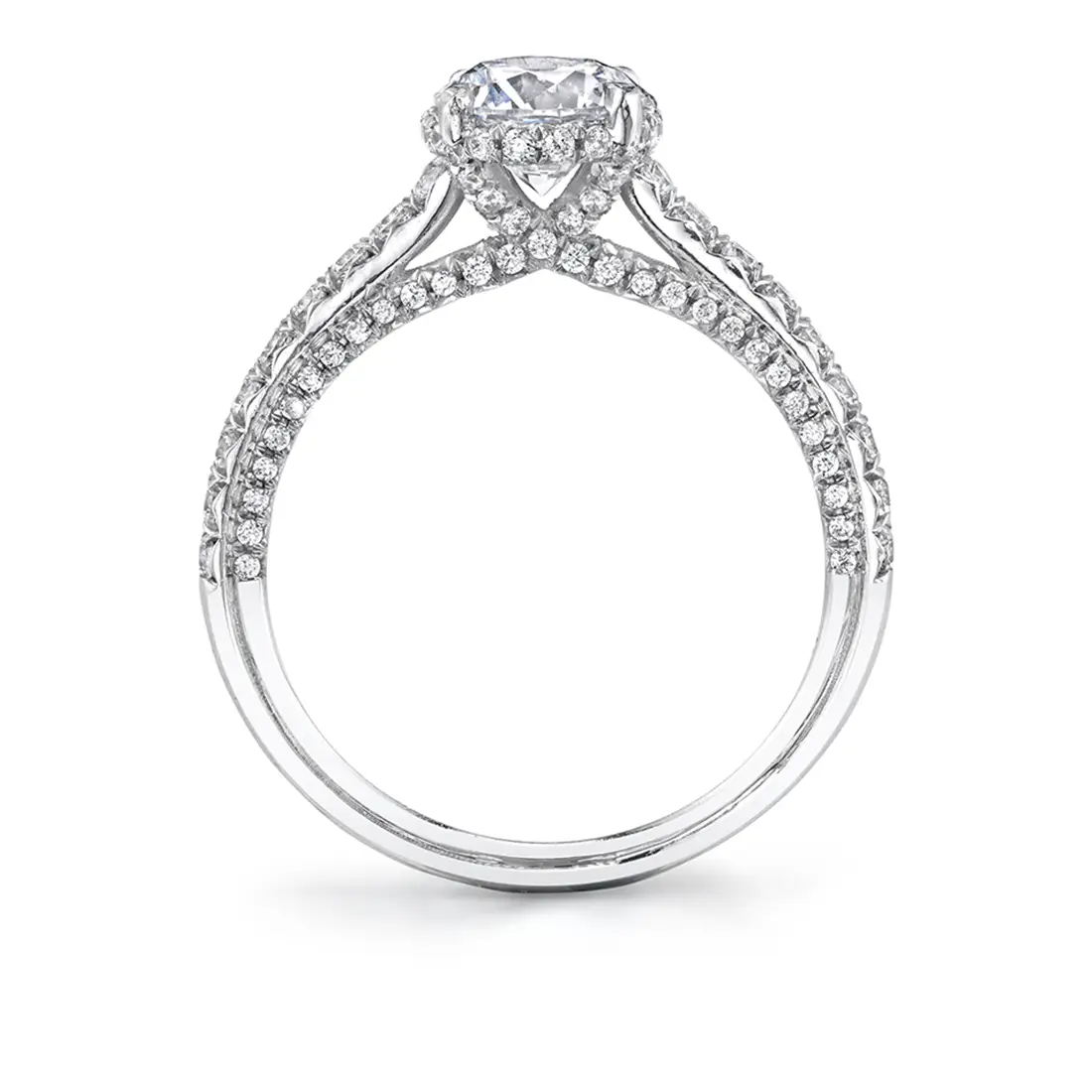 White Gold Round Cut Hidden Halo Engagement Ring with Diamond Profile - Layla