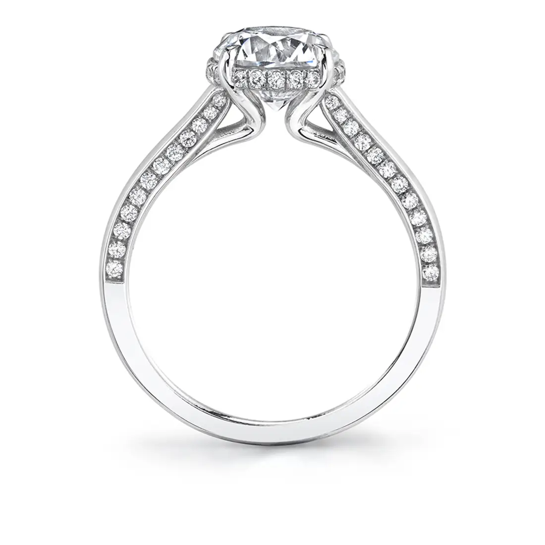 White Gold Round Cut Hidden Halo Engagement Ring with Diamond Profile - Calina - Profile View - Profile View - Profile View - Profile View