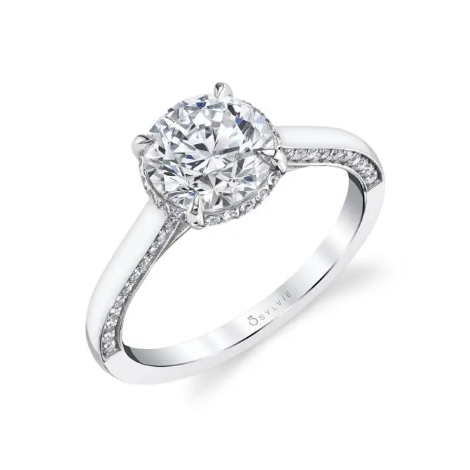 Round Cut Hidden Halo Engagement Ring with Diamond Profile - Calina