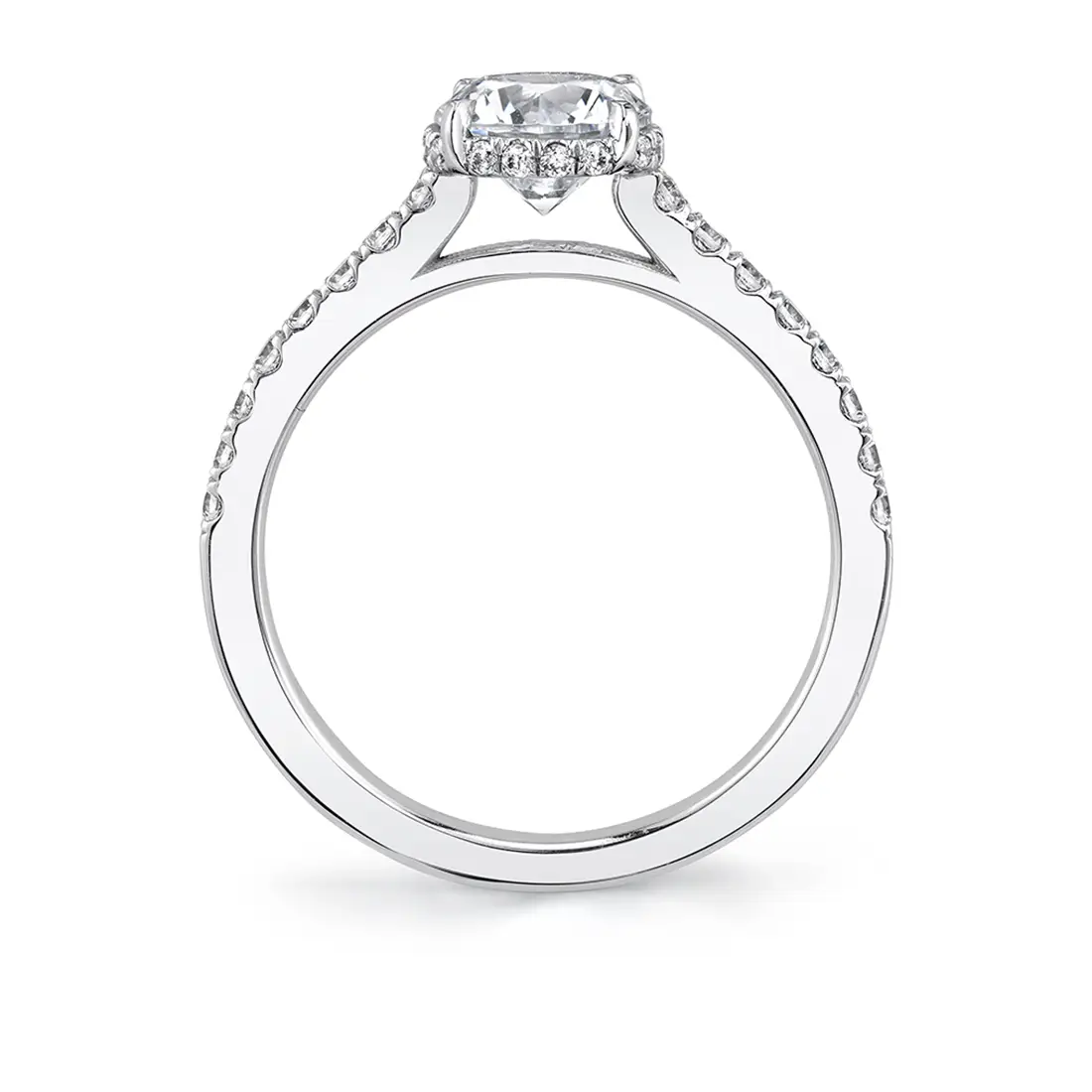 Profile Image of a Hidden Halo Ring - Anastasia
