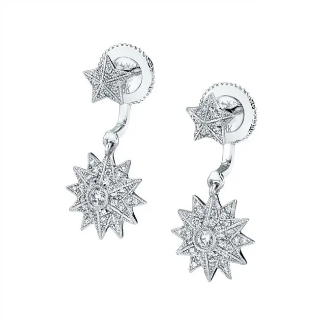 Star Shaped Peekaboo Earrings 