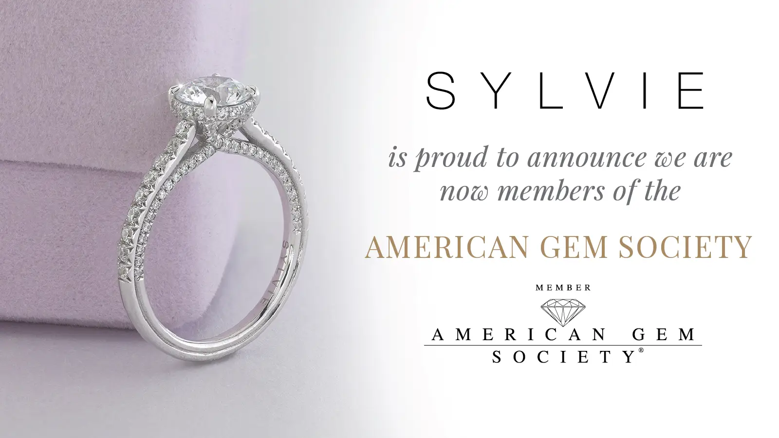 The american shop gem society