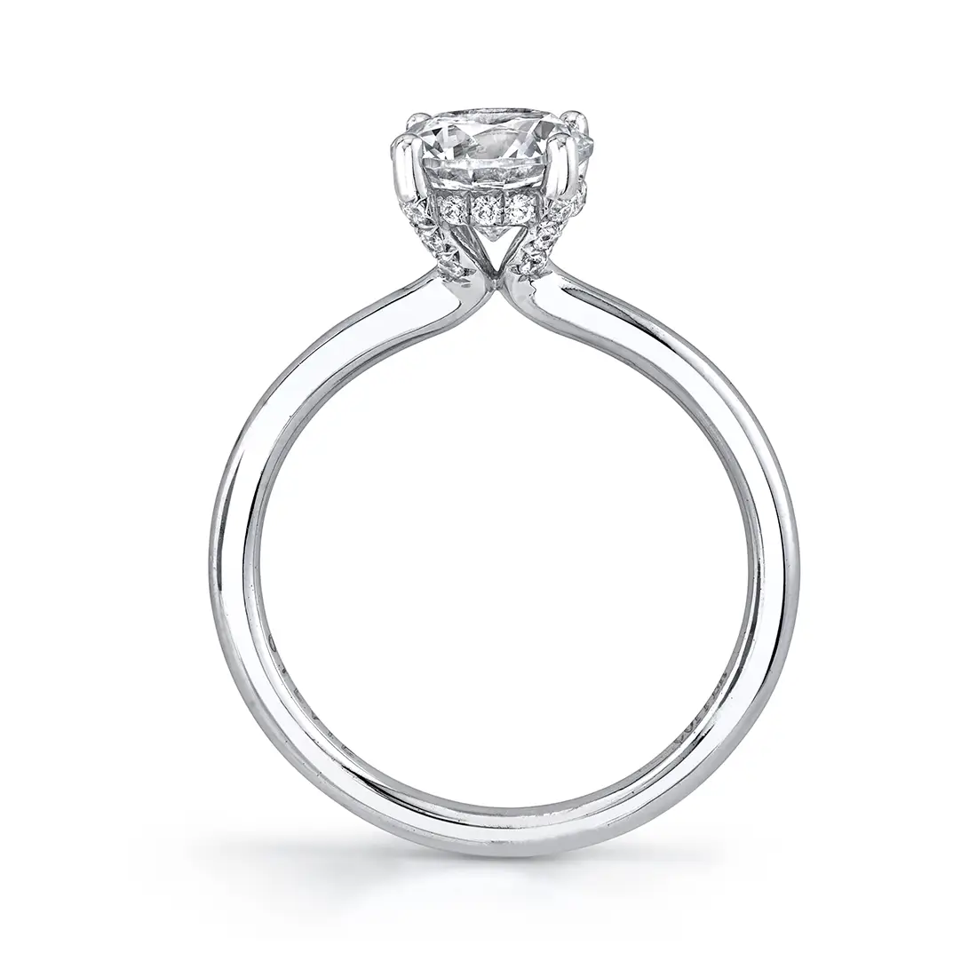 profile view of hidden halo engagement ring with plain band