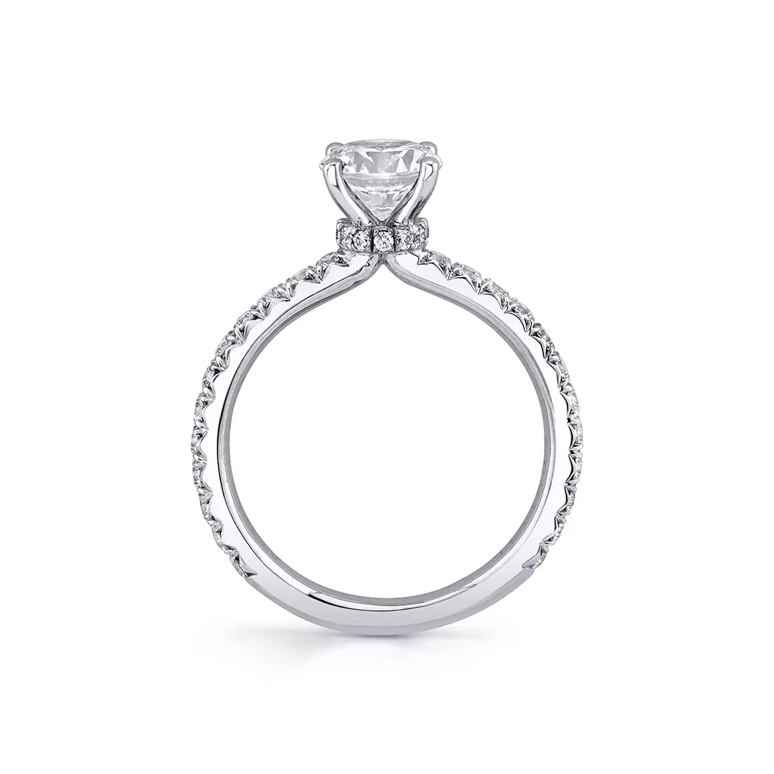 white gold profile classic hidden halo collar engagement ring