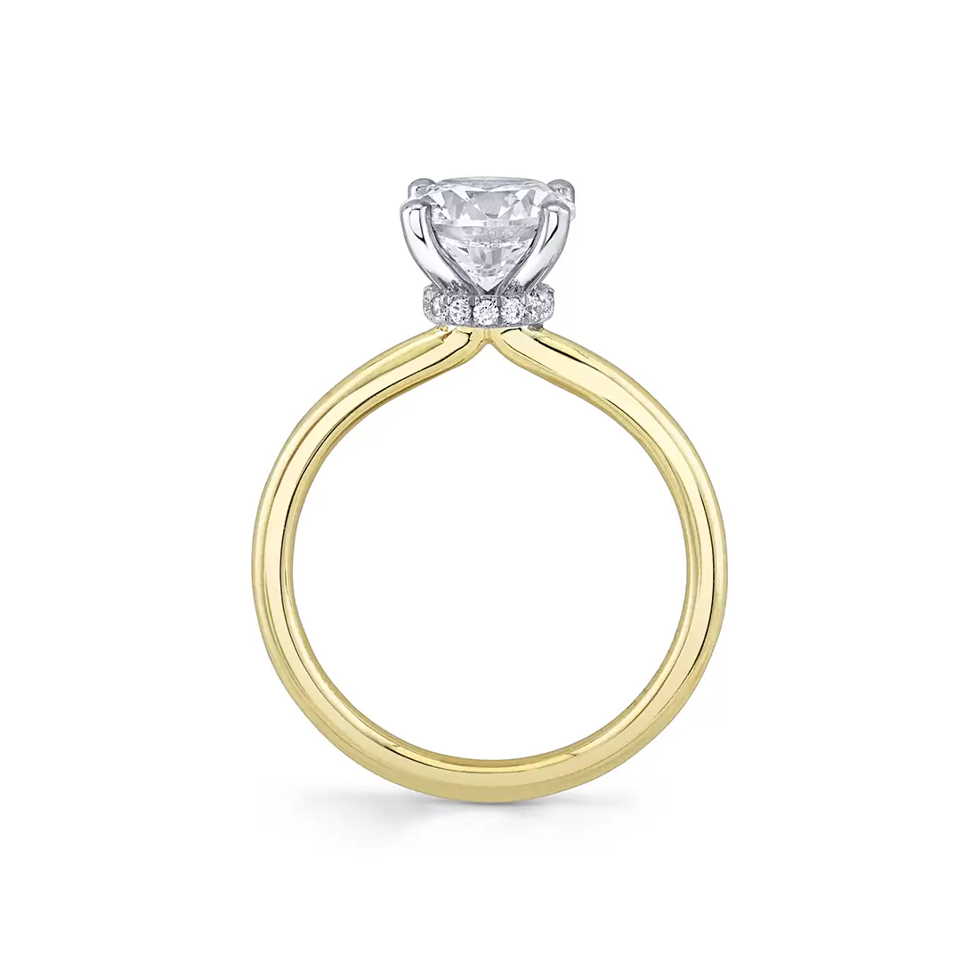 two tone profile solitaire hidden halo collar engagement ring