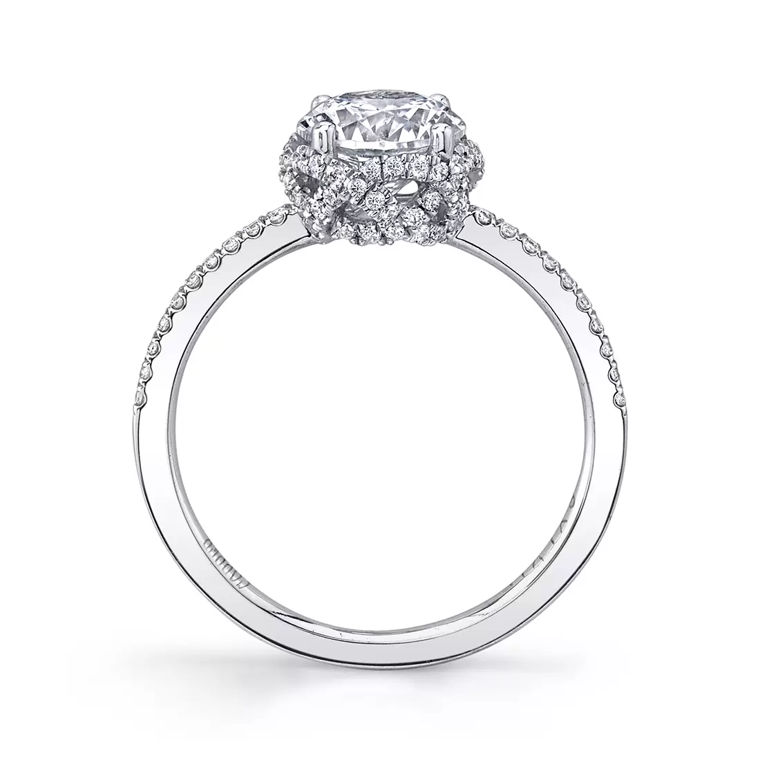 classic spiral hidden halo engagement ring profile