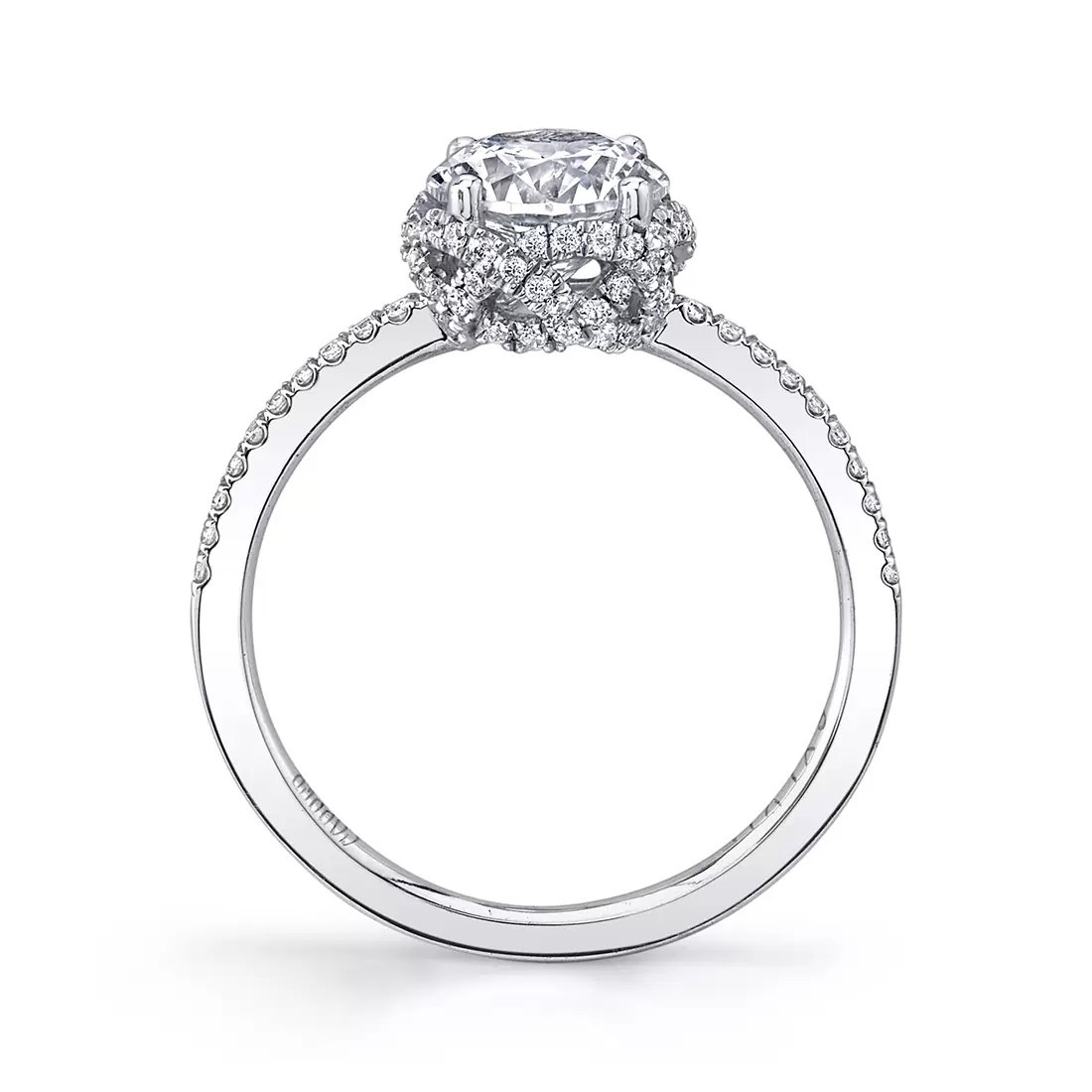 Round halo setting top