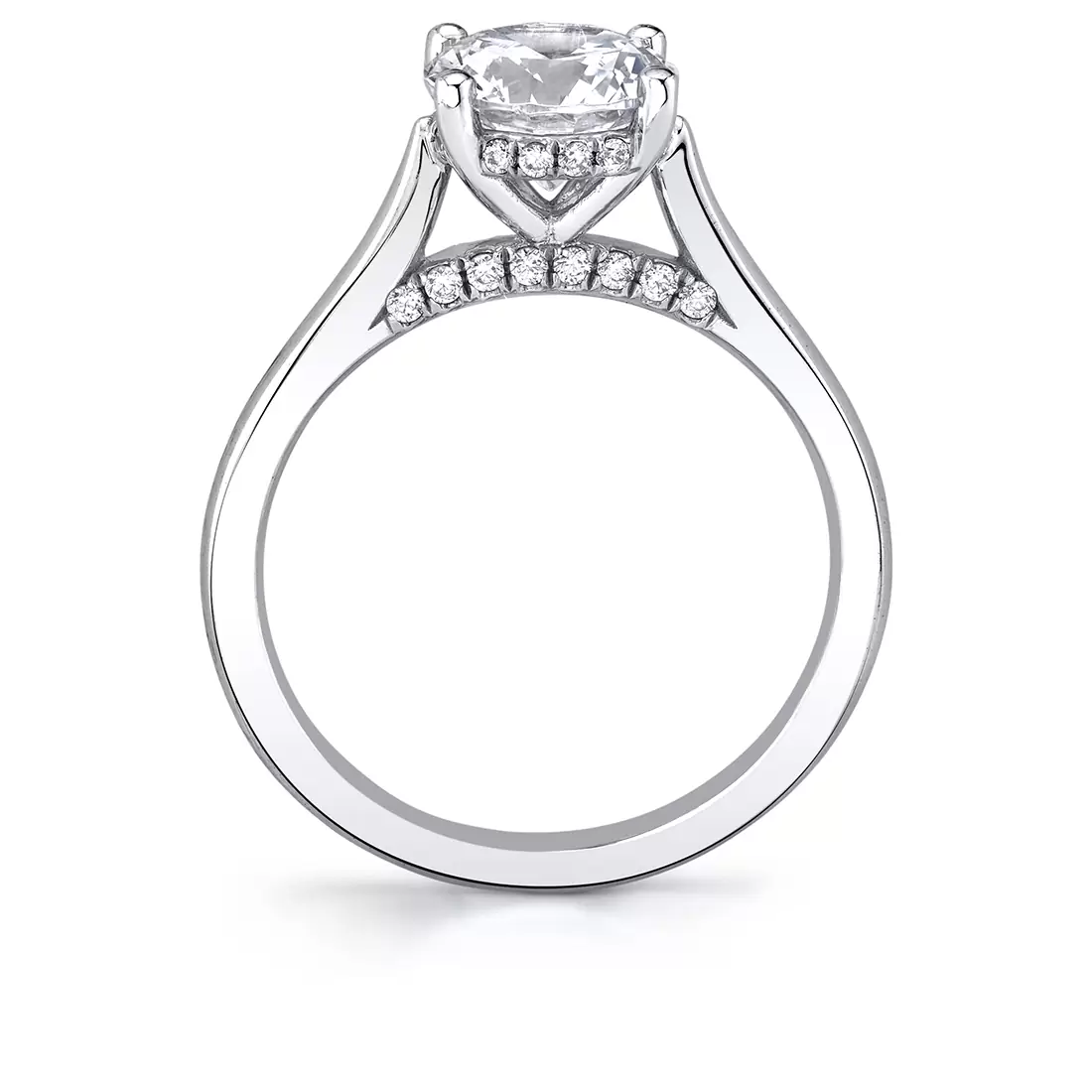 white gold diamond bridge hidden halo engagement ring profile view