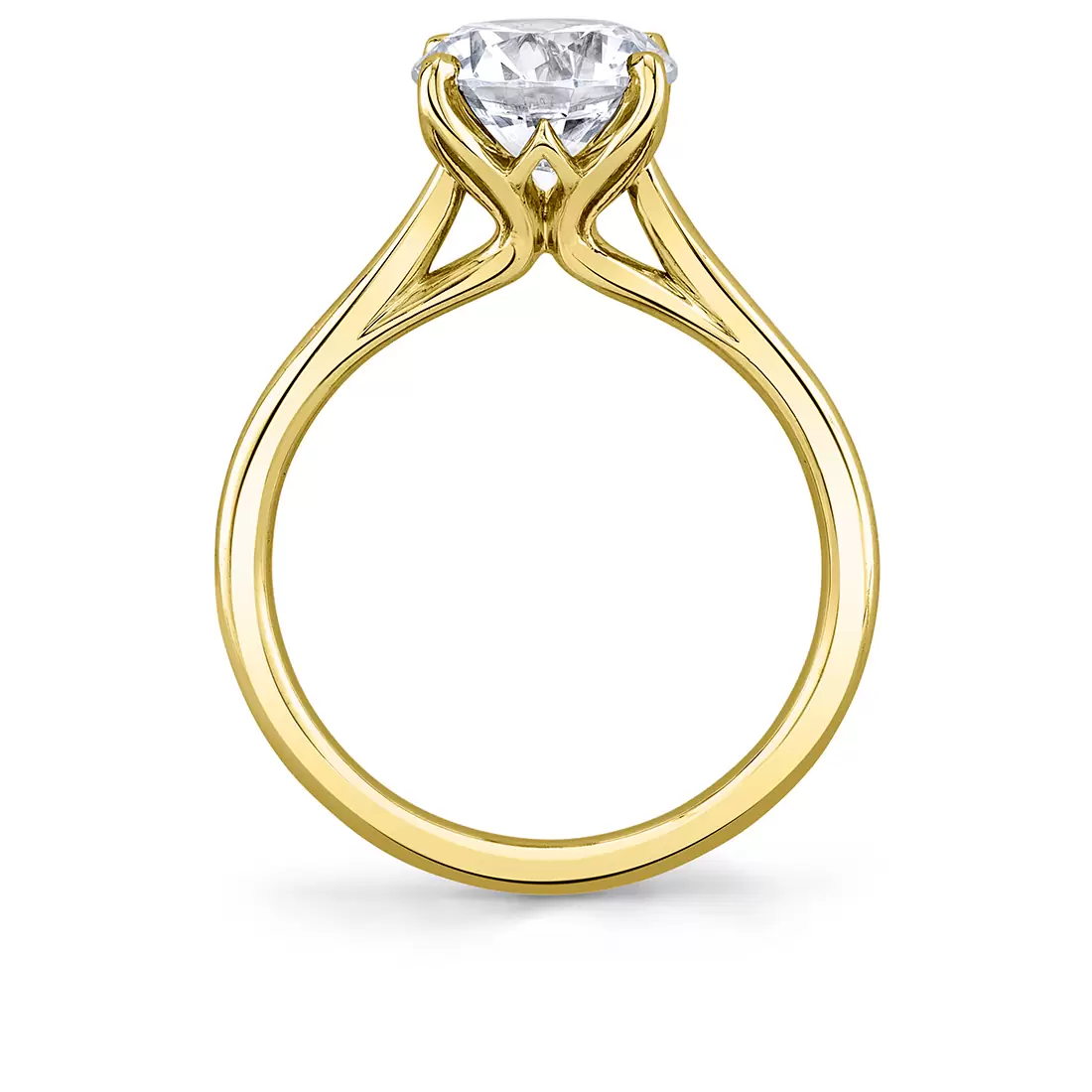 yellow gold solitaire petal prong engagement ring profile view