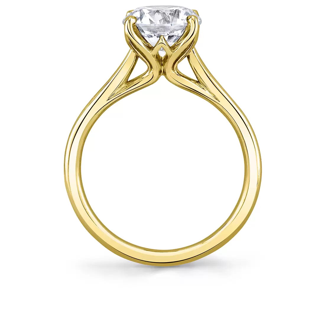 White Gold Tulira Solitaire Petal Prong Engagement Ring - Amber