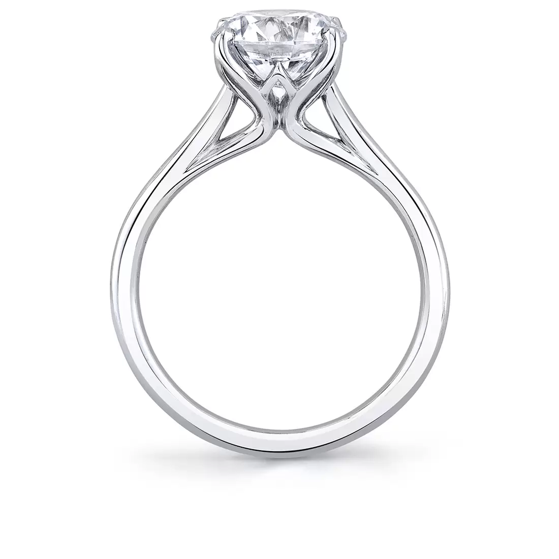 white gold solitaire petal prong engagement ring profile view