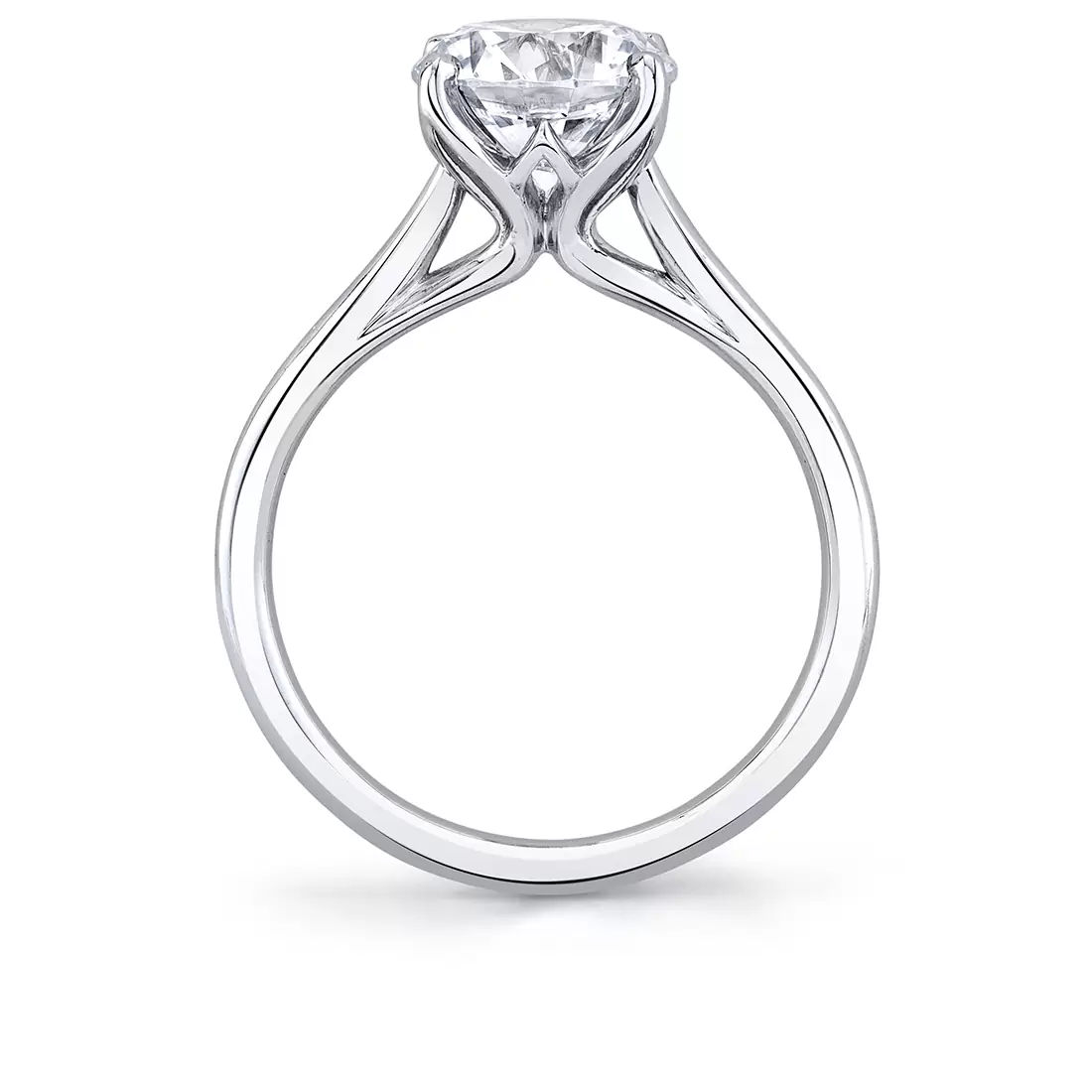 White Gold Tulira Solitaire Petal Prong Engagement Ring - Amber
