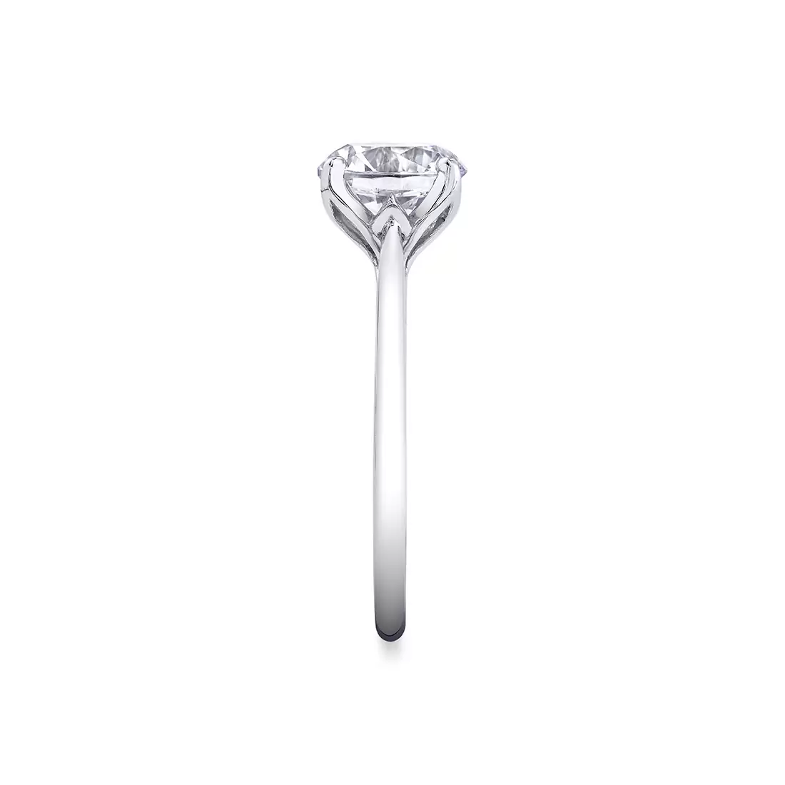White Gold Tulira Solitaire Petal Prong Engagement Ring - Amber