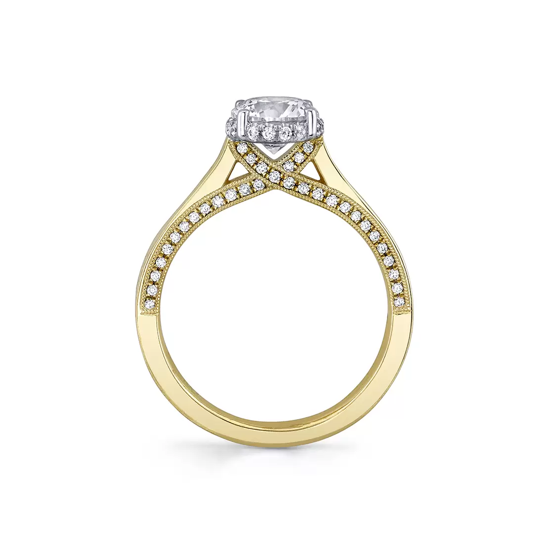 White Gold Round Cut Diamond Profile Hidden Halo Engagement Ring - Sawyer