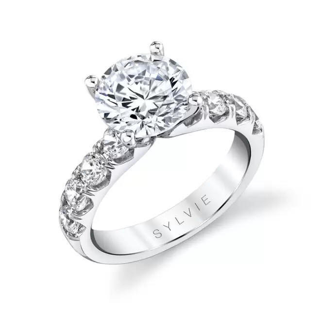 Round Cut White Gold Thick Band Classic Engagement Ring - Dariana