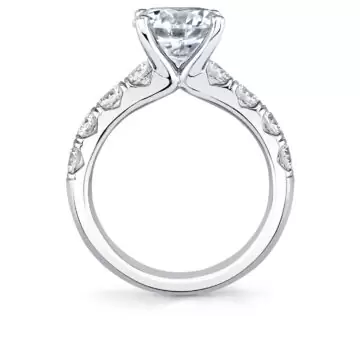 White Gold Round Cut Thick Band Classic Engagement Ring - Dariana