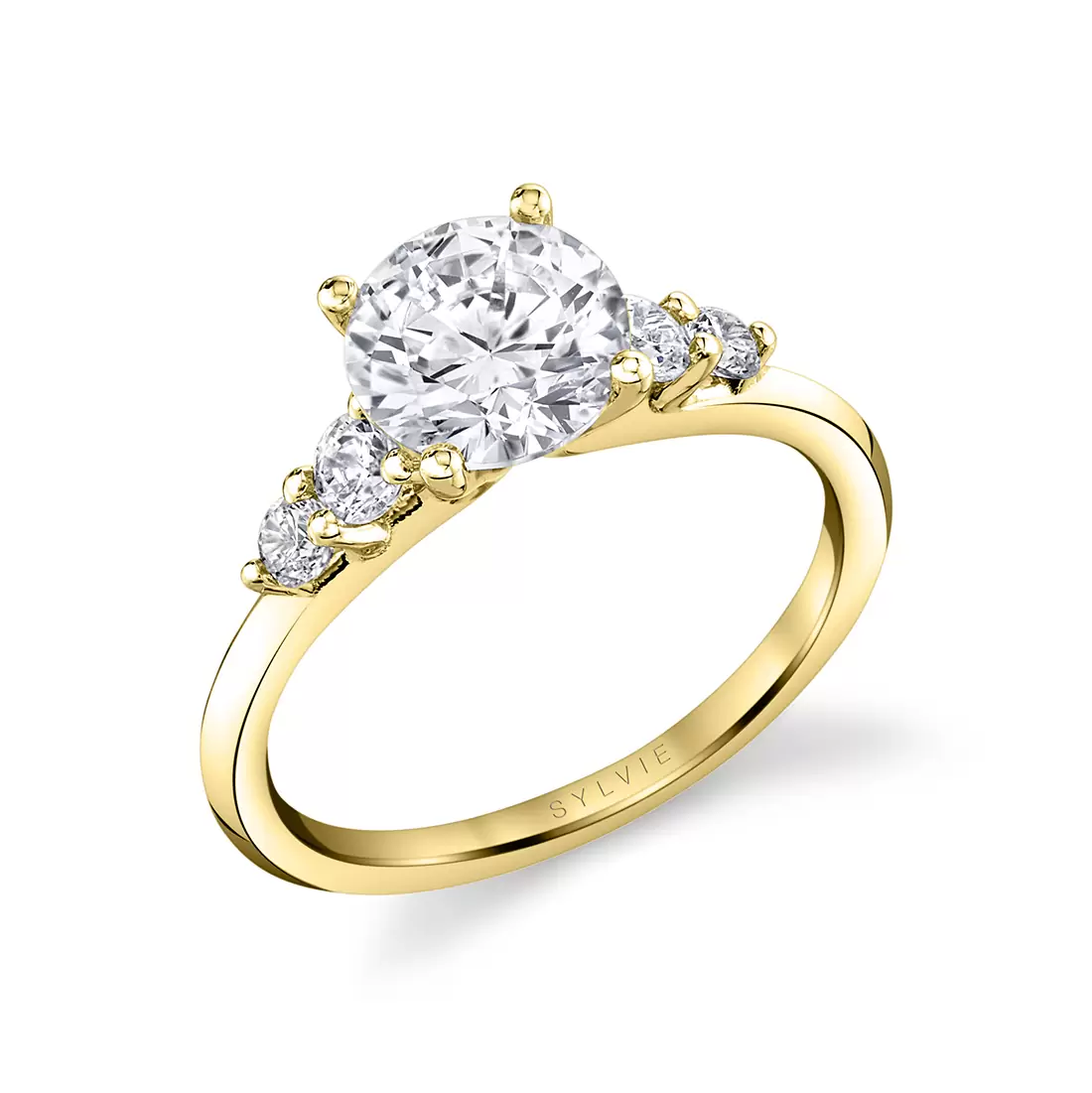 White Gold Round Cut Multi Side Stone Engagement Ring - Daria
