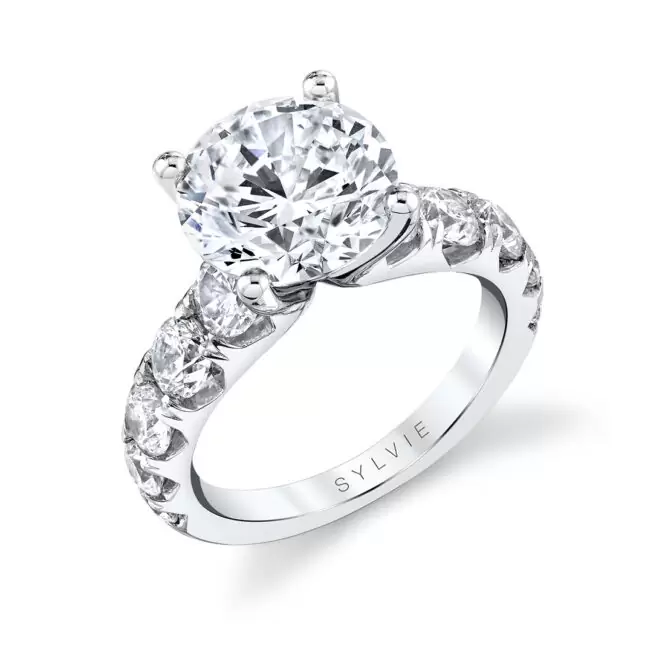 Round Cut White Gold Thick Classic Engagement Ring - Darlene
