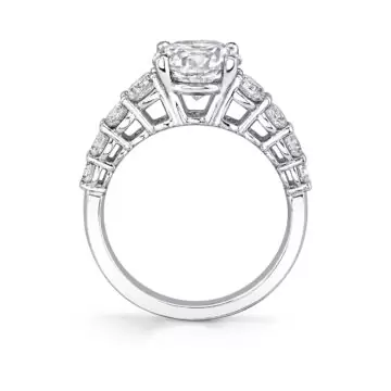 White Gold Round Cut Thick Classic Engagement Ring - Colbie