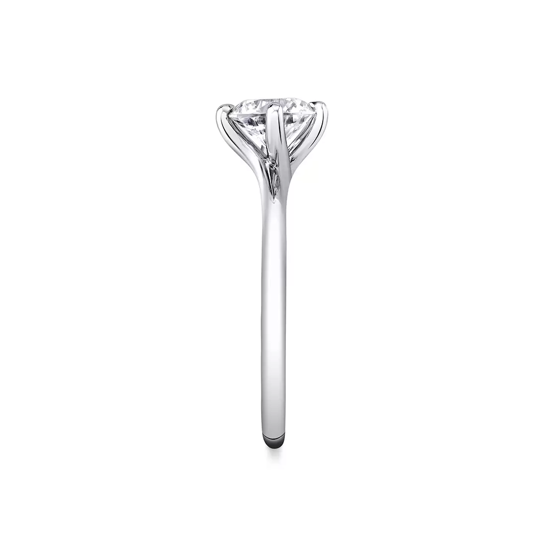 White Gold Tulira Compass Set Solitaire Vine Prong Engagement Ring - Wren