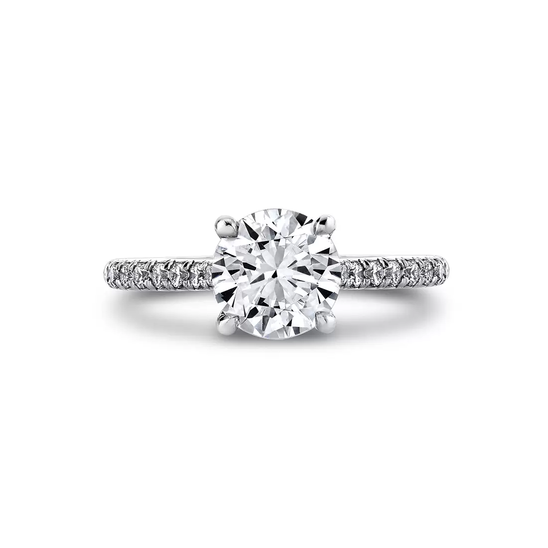 White Gold Tulira Vine Prong Engagement Ring - Terra