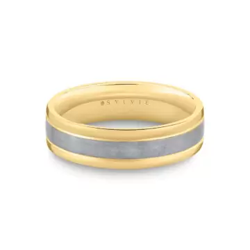 Grey Gold/Rose Gold Heritage Two Tone Men’s Band with Brushed Grey Gold - Luis